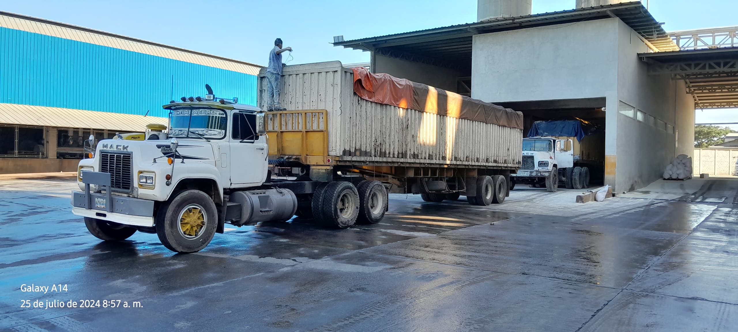 Compra en Planta